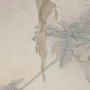 《回归》三