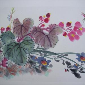 秋海棠野菊花