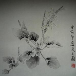 小写意花鸟扇面