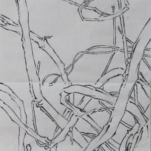 线描写生系列作品