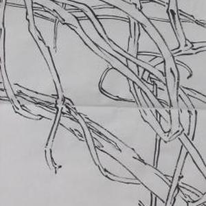 线描写生系列3