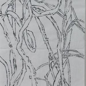 线描写生系列7