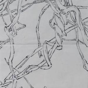 线描写生系列8