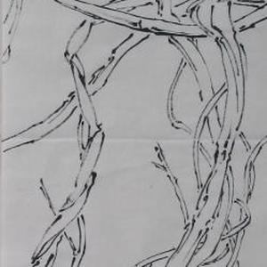 线描写生系列9