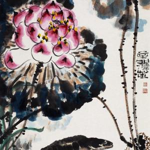 畅游