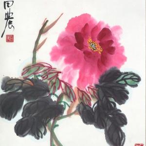 一枝独秀