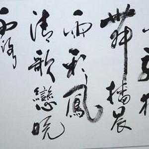 金龙狂舞