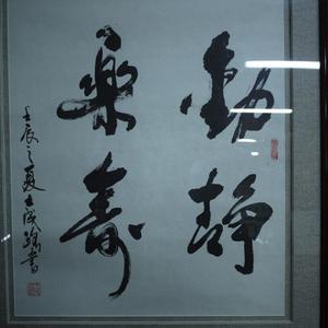 动静乐寿