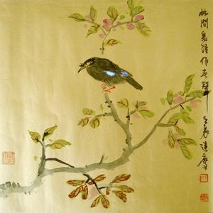 林间鸟声