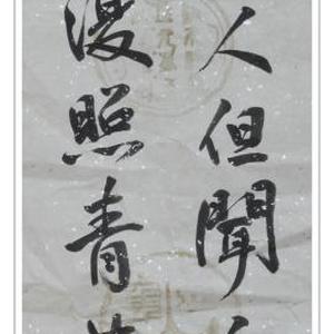 空山不见人