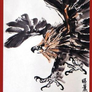 《雄鹰高飞》