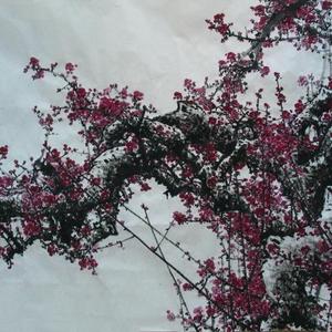 梅花