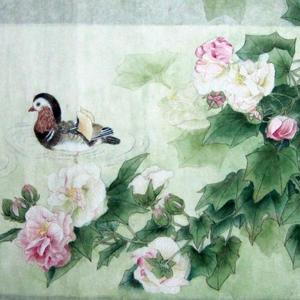 芙蓉鸳鸯