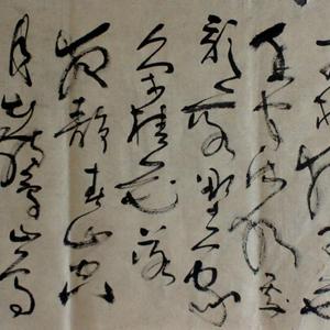 万树寒无色