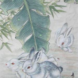 兔