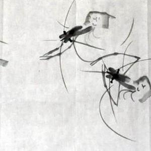 游龙