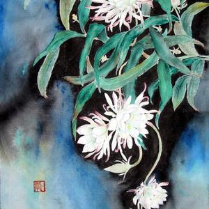 曇花一現