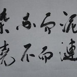出淤泥而不染