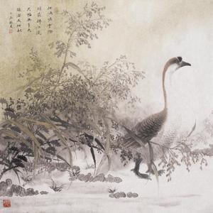 雪鹅图