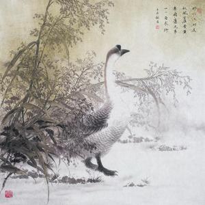 雪韵