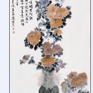 冰壶玉菊