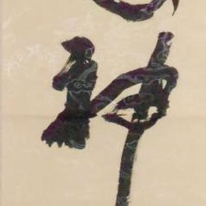 翰逸神飞
