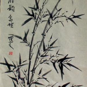 清雅雅韵