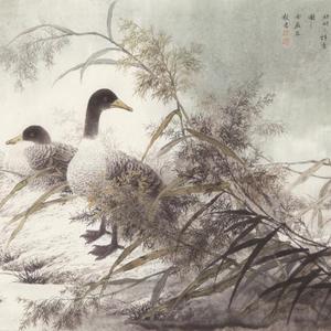 《回眸》