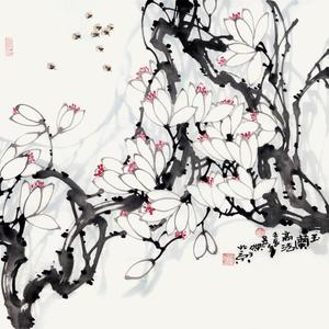 玉兰高洁
