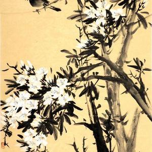 晓露凝香