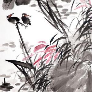 秋水池塘秋自凉