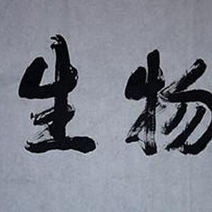 万物生辉
