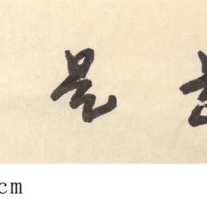 惟道是从