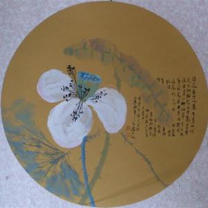 白荷2