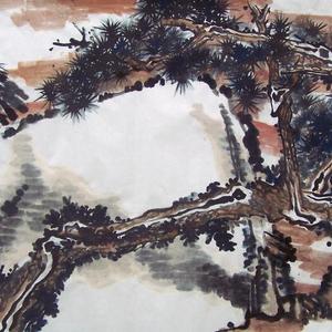 松鹰横空