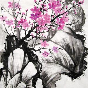 春去春来好时光