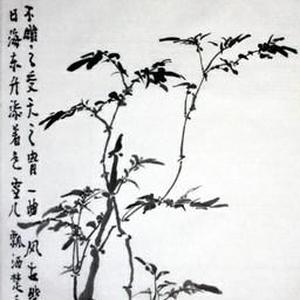 竹系列-1
