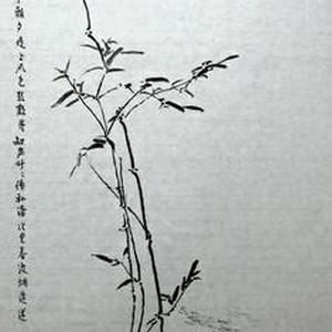 竹系列-云林草意