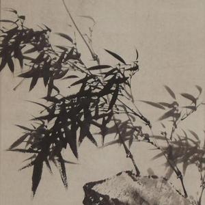 清风高节