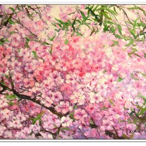 桃花韵