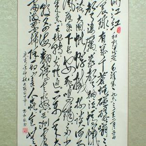 满江红.和郭若同志