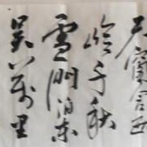 唐杜甫诗