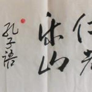 孔孑语