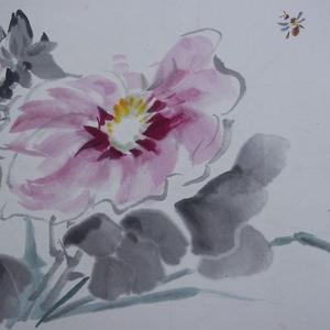 蜀葵