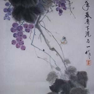 紫珠