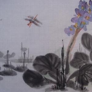 水葫芦