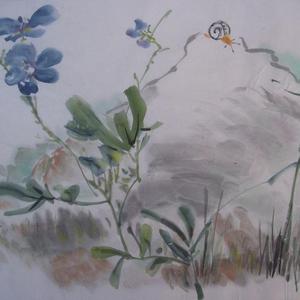 僧鞋菊