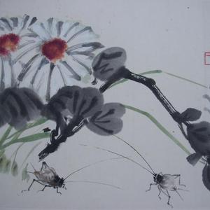 菊花