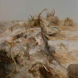 景物2008