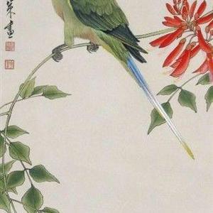 工笔画《鹦鹉和鹦鹉花》
